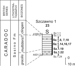 sim pli fied lithostratigraphic sec tion from the p ock