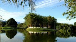 By working part time you can support your studying and living expenses and gain experience of work in the job market of china. Scar Turned To A Beauty Spot Review Of Taiping Lake Gardens Taiping Malaysia Tripadvisor