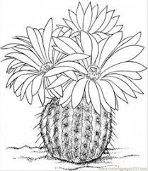 We did not find results for: 54 Cactus Succulents Coloring Pages Ideas Coloring Pages Colouring Pages Cactus