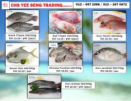 Ikan bayan / ikan ketarap : Wtf What The Fish Our New Chs Yee Seng Trading Facebook