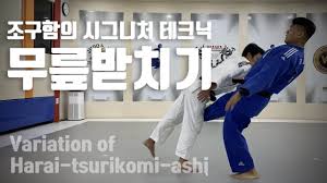 안창림은 최근 국가대표 동료 조구함(29)과 함께 필룩스 유도단으로 소속을 옮겼다. ì¡°êµ¬í•¨ì˜ ë¬´ë¦Žë°›ì¹˜ê¸° Youtube