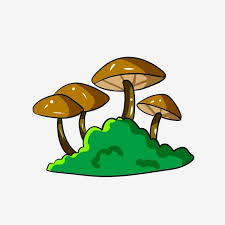 Son estructuras inmóviles a lo largo de sus vidas. Ilustracion De Hongo Solido Marron Planta Verde Ilustracion De Dibujos Animados Seta Marron Png Y Psd Para Descargar Gratis Pngtree