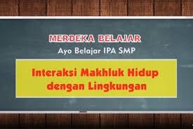 Makhluk hidup dan lingkungannya terlibat dalam suatu sistem yang membuat mereka membutuhkan satu. Rangkuman Dan Soal Materi Interaksi Makhluk Hidup Dengan Lingkungan Belajar Dari Rumah Tvri 12 Juni 2020