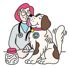 Be proactive to protect your pet's health. Fear Free Care Makes A Trip To The Vet As Relaxing As A Romp In The Dog Park
