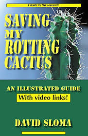 Cactus cuttings root most easily when taken during their natural growth season (usually in warm weather). Saving My Rotting Cactus An Illustrated Step By Step Guide To Saving Your Rotten Cactus Sloma David Amazon Com