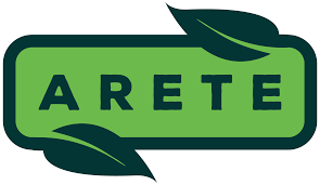 Image result for arete excellence