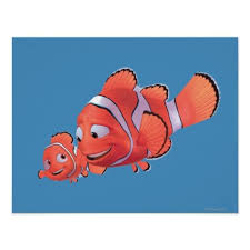 They are part of a family of fish called surgeonfish, which are known to feed on the algae. Learn The Types Of Fishes In Finding Nemo Aquatic Veterinary Services