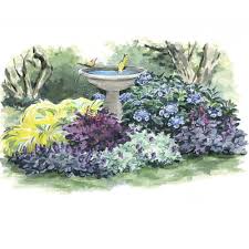 Low care, hellebores and cyclamen are invaluable additions to the shade garden and provide gardeners with some of the greatest pleasures in winter. Small Space Shade Garden White Flower Farm
