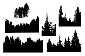 Pine Forest Silhouettes Forest Silhouette Pine Forest Forest