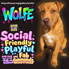 Hey Everyone, I'm struggling to believe that I lost my rock, my mum last  night. It's left a huge void in me. 😢 She wasn't just my best friend but  the honorary