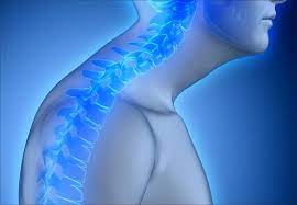 Posterior cervical lymph nodes these are situated at the back area of the neck and extend from the middle of the head (mastoid region of the temporal bone) to the collar bone (clavicle). How You Can Fix A Dowager S Hump Prevention Tips Cleveland Clinic