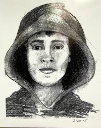 Hayward man arrested as suspect in kidnapping attempts