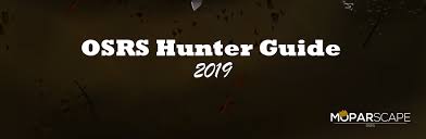 Posts must be related to one of the osrs iron game modes. Osrs 1 99 Hunter Guide 2021 Fast And Profitable