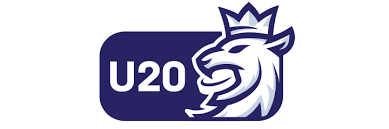 Čína se zlobí, tvrdík i celá slavie trnou euro hockey challenge: Hokej Cz Web Ceskeho Hokeje