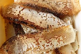 By encik shinoon 29th august 2016. Madu Lebah Madu Madu Asli Madu Sarang Madu Lebah Madu Nusantara Madu Propolis Madu Murni Madu Kesehatan