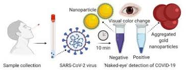 Simple But Effective An Experimental Nanoparticle Covid 19 Test