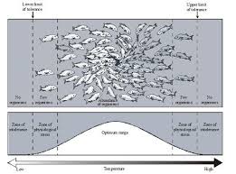 This Is A Range Of Tolerance Graph Range Of Tolerance Is A