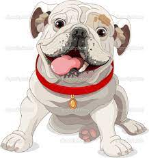 Bulldog Ingles Solo La Cara Buscar Con Google Perros En Caricatura Perros Bulldog Perros Buldog Ingles