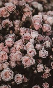 Ideas For Flower Backgrounds Iphone Xr Wallpaper Images In 2020 Flower Background Iphone Flower Backgrounds Flower Phone Wallpaper
