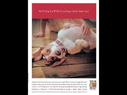 Vpi pet insurance provides comprehensive plans to their customers. Tom Ortega Veterinary Pet Insurance Belly Rub Adforum Talent The Creative Industry Network