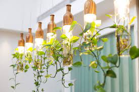 Discover savings on home décor & more. 4 New Trends For Indoor Vines Trendspot Inc