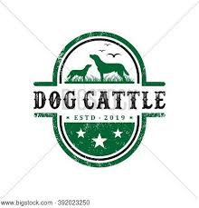Back cover inset, cattle brands from an article on the ranch house specializes in custom logo designs for cattle ranches, livestock operations, hunting and download free ink painting galloping horse vector 01 under the free vector animals category. Vintage Cattle Dog Vector Photo Free Trial Bigstock