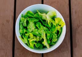 Lettuce growing in warmer weather: 7 Must Know Tips When Growing Lettuce In Summer