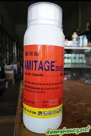 Amitage 200EC