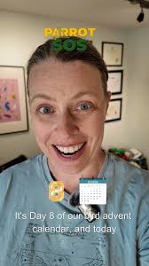 Avian specialist and house call parrot veterinarian Dr. Ann Bourke talks  about having helped Sue & John with the development of the @beaktivity  hanging parrot toy, which makes parrots happy because they