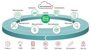 This role has full access to the software asset management application. Https Www Servicenow Com Content Dam Servicenow Assets Public En Us Doc Type Resource Center Data Sheet Ds Software Asset Management Pdf