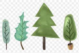 Cute Pine Tree Set Transparent Png Premium Image By Rawpixel Com Macc Christmas Tree Set Tree Free Png