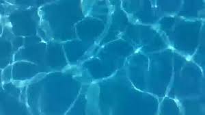 Check spelling or type a new query. Hd Water In Swimming Pool Footage Loop 1080p Youtube