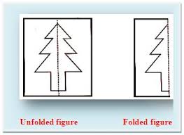 Add the horizontal line that joins the two verticals you just drew. Line Symmetry Vertical Horizontal Lines Of Symmetry Symmetrical
