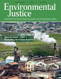 In order to earn money to support himself, he is willing to do anything. Racial Disparities In Air Pollution Burden And Covid 19 Deaths In Louisiana Usa In The Context Of Long Term Changes In Fine Particulate Pollution Environmental Justice