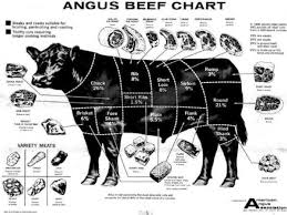 Steer Poster Ideas Angus Cattle Aberdeen Angus In 2019