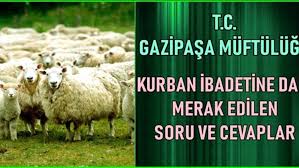 Kurban Ibadetine Dair Merak Edilen Soru Ve Cevaplar