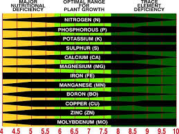 What Is Soil Ph And Why Does It Matter Life Is Just Ducky Vegetable Garden Soil Soil Testing Soil Ph