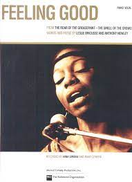 Nina Simone Feeling Good My Favorite Song Everrrr Soulmusic Soul Music Good Music Musical Comedy