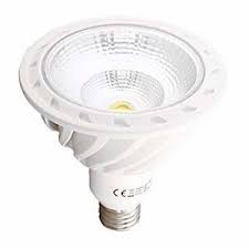 Kodak Led Lighting 18w Par38 Dimmable Led Light Bulb With Medium Base 41122 Ferguson