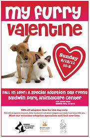 Pin By Kathy Doucette On Pet Adoption Marketing Ideas Pets Animal Shelter Quotes Dog Adoption Event