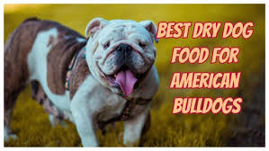 8 Best Dog Food For American Bulldogs Nutritious And