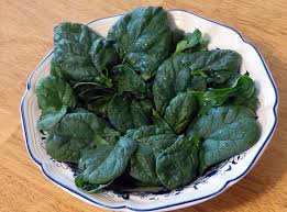 Image result for Spinacia oleracea