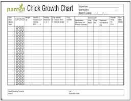 Parrot Chick Weight Growth Chart Hari