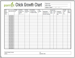 parrot chick weight growth chart hari