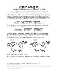 Dragon Genetics Independent Assortment And Genetic Linkage Genetics Independent Meiosis