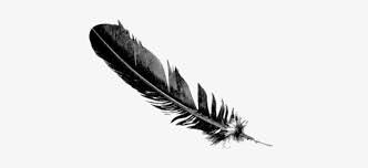 This tattoo on erin wasson's left arm, just below the elbow, says right on / ride on with the letters forming a circle. Photo Erin Wasson Feather Tattoo Transparent Png 530x354 Free Download On Nicepng