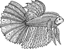 Download Wild Betta Free Vector Eps Cdr Ai Svg Vector Illustration Graphic Art