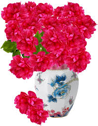 We did not find results for: Vase Porcelain Flower Vases Png Image Vaso Di Fiori Png Full Size Png Download Seekpng