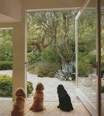 Pivot Door California Pepper Tree Plant Palette Small Garden Landscape Succulent Landscape Design Garden Landscape Design
