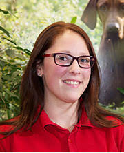 Vorstellung unserer Teammitglieder